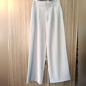 Modern Citizen 545 Gray Wide Legged Trousers, Small